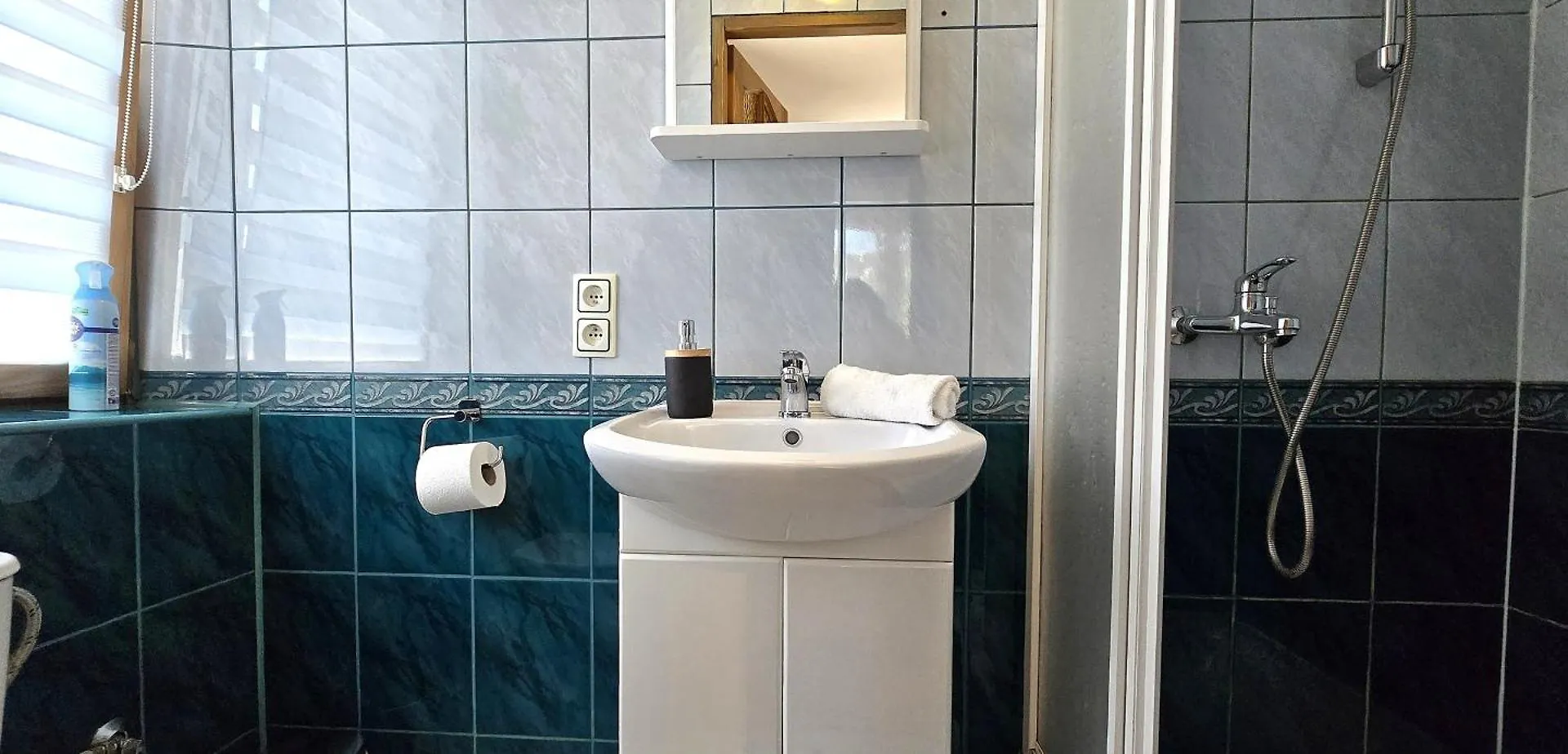 Willa Janus Zakopane Apartmán